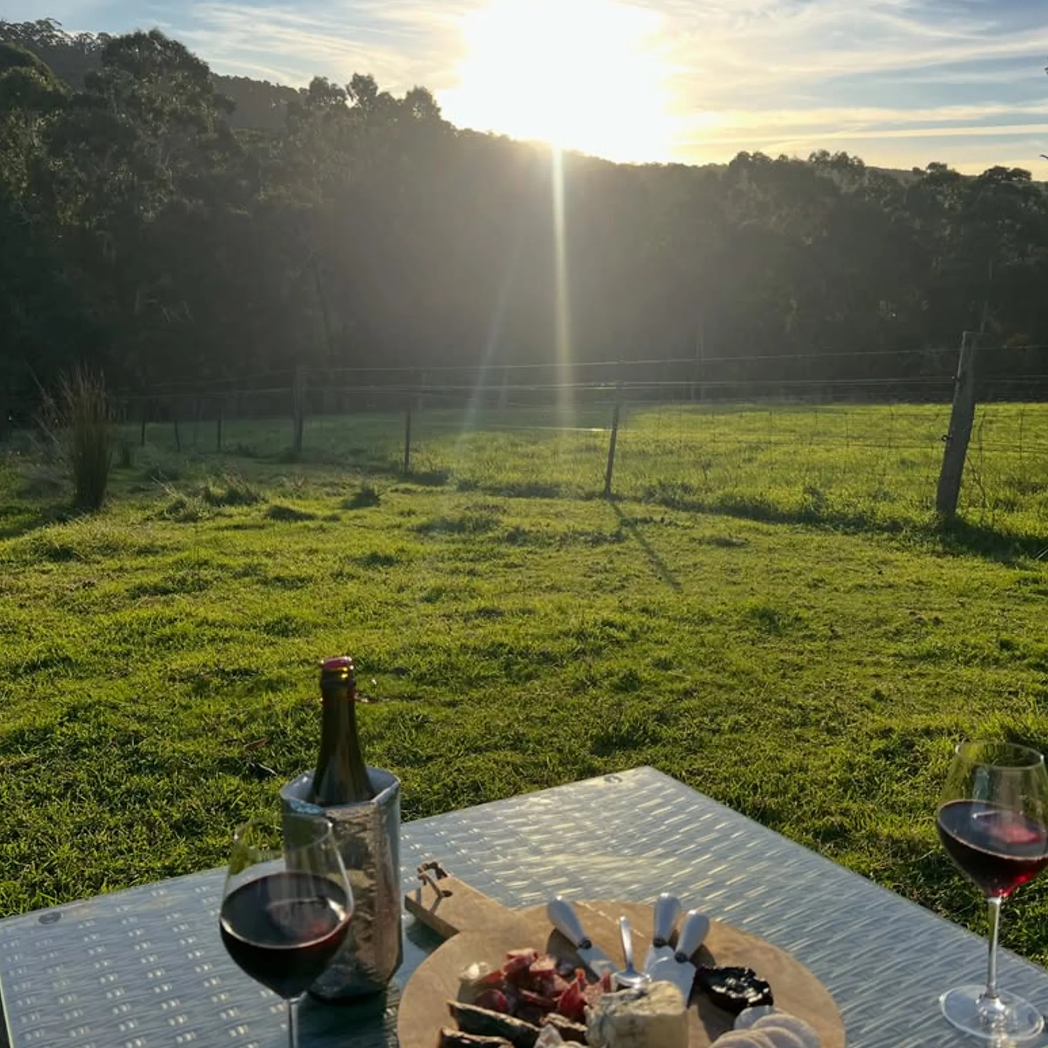 wine, cheese, and vineyard picnic
