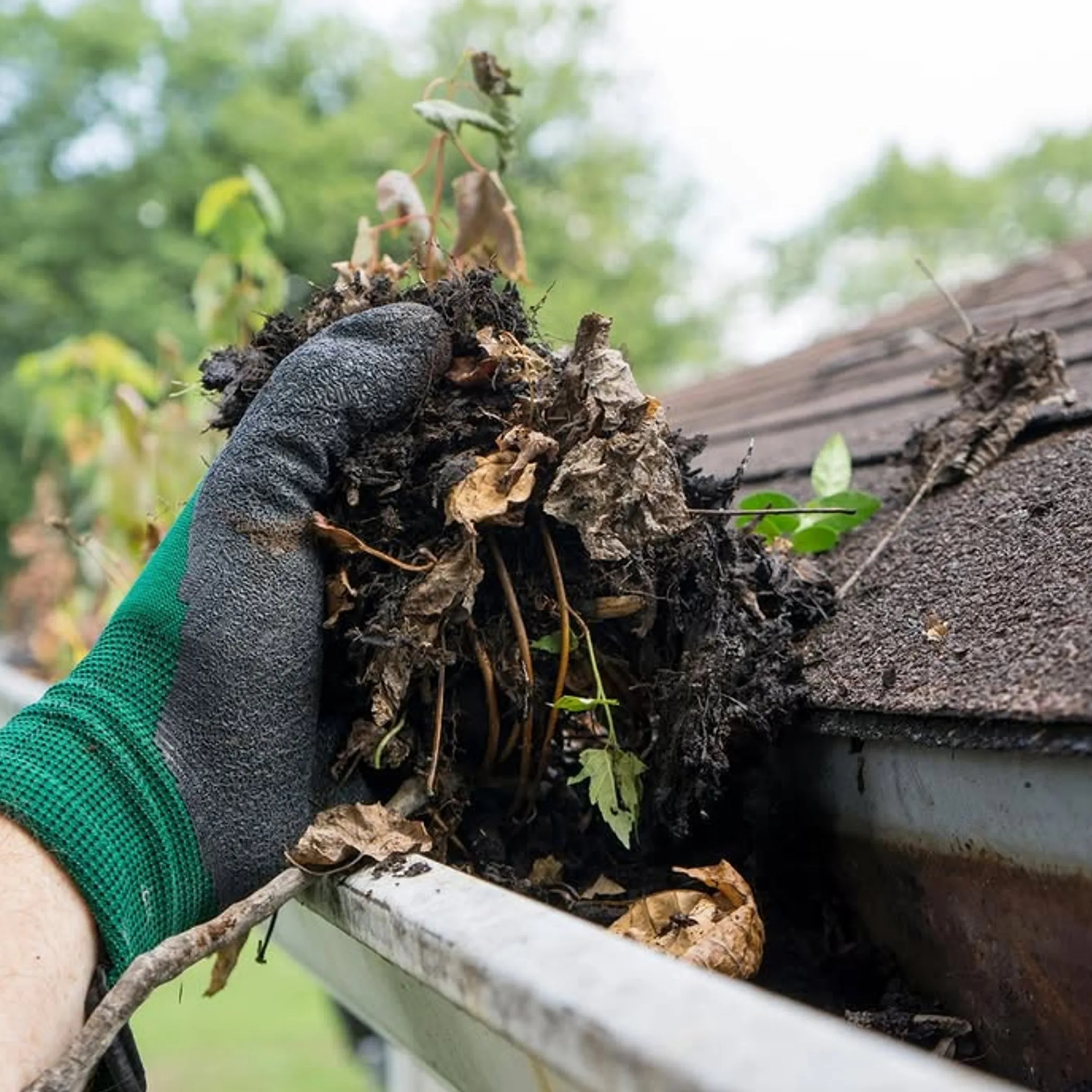 gutter cleaning in progress