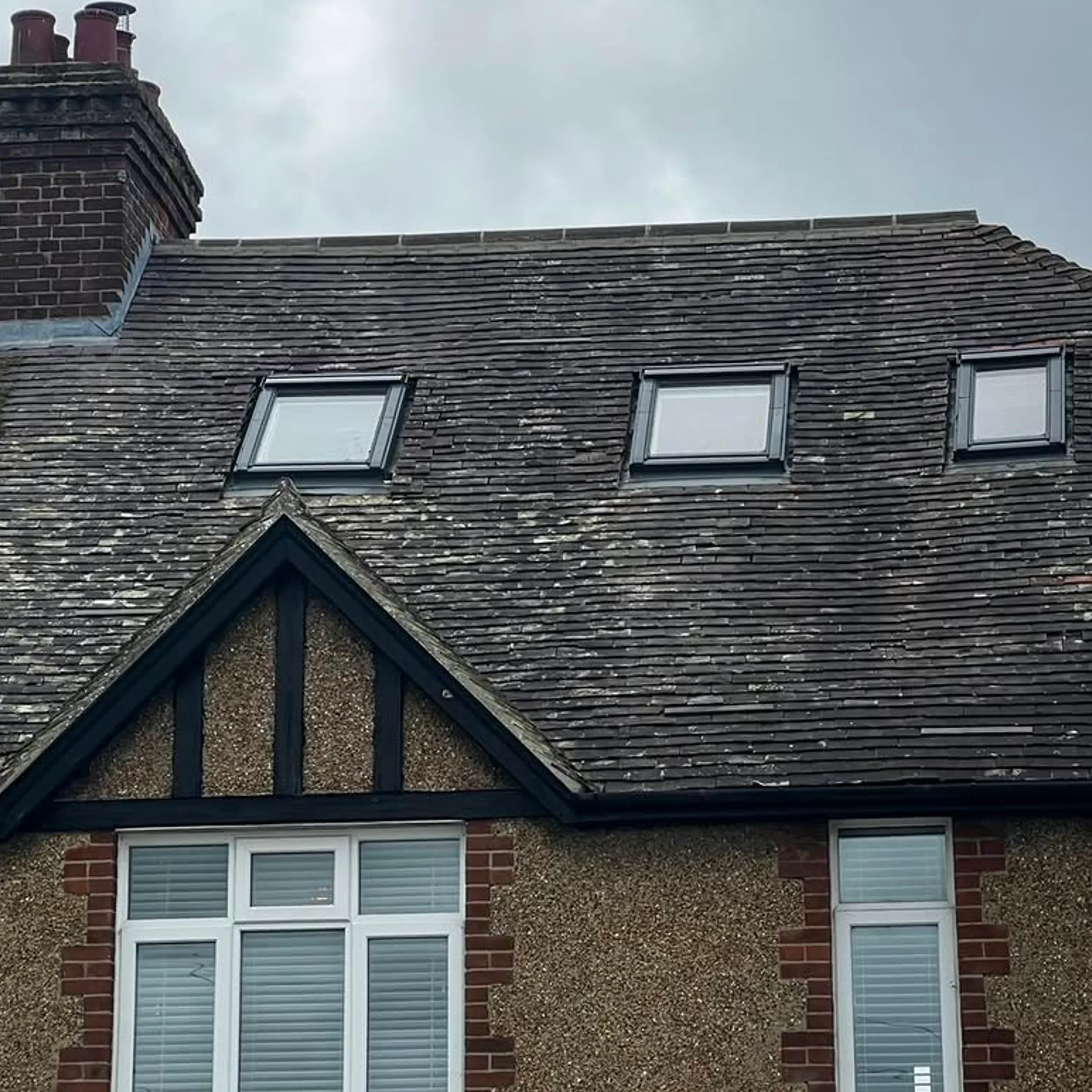 roof requiring gutter maintenance
