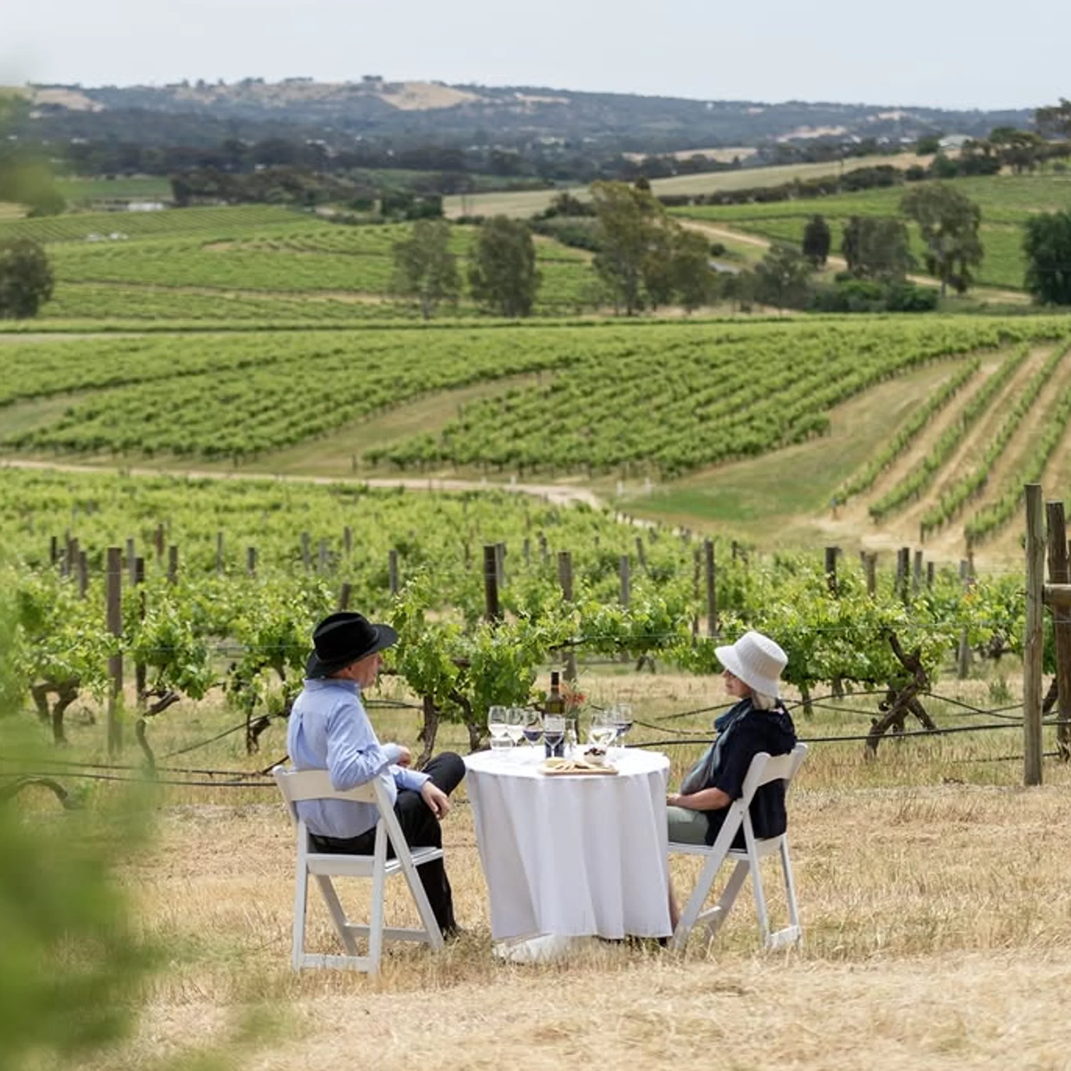 winemaking vineyards and cuisine