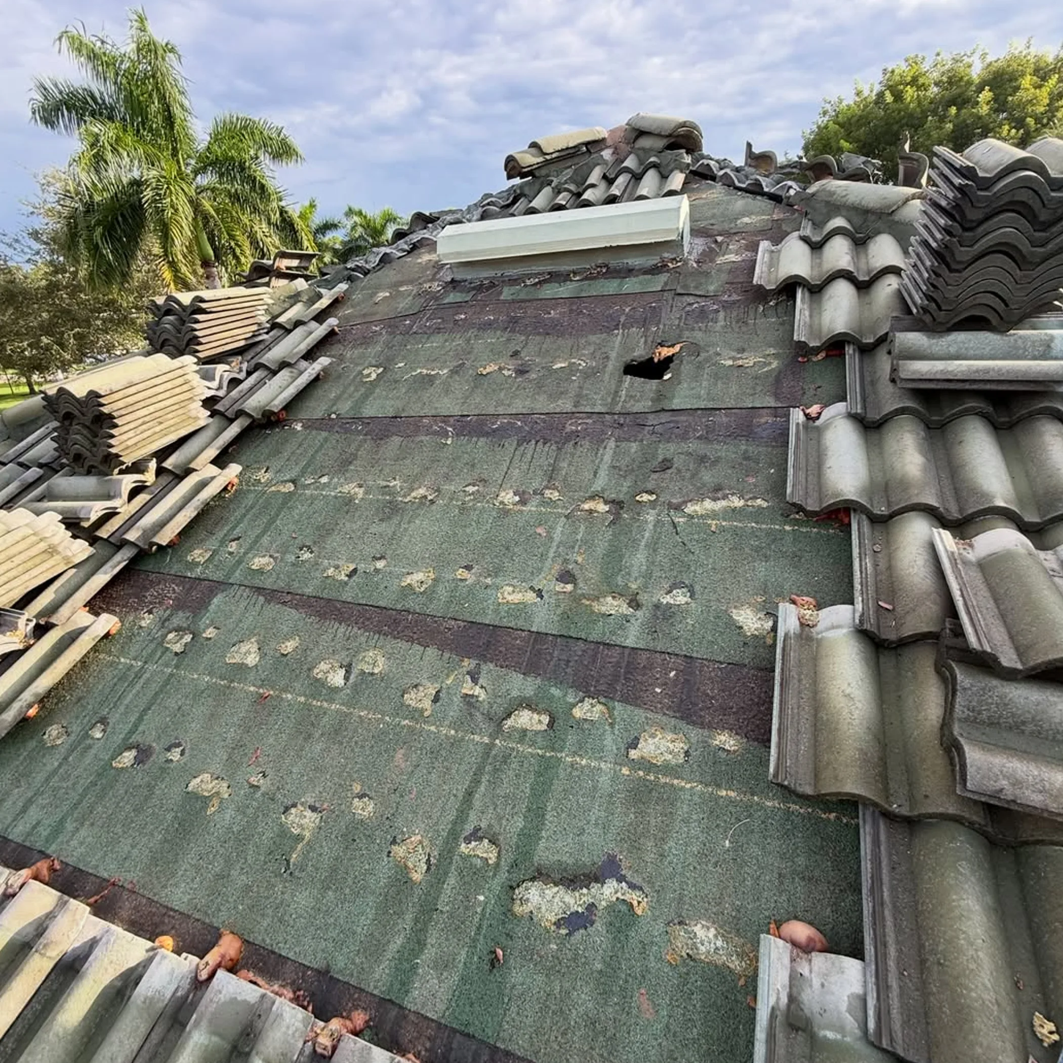 rooftop work in progress