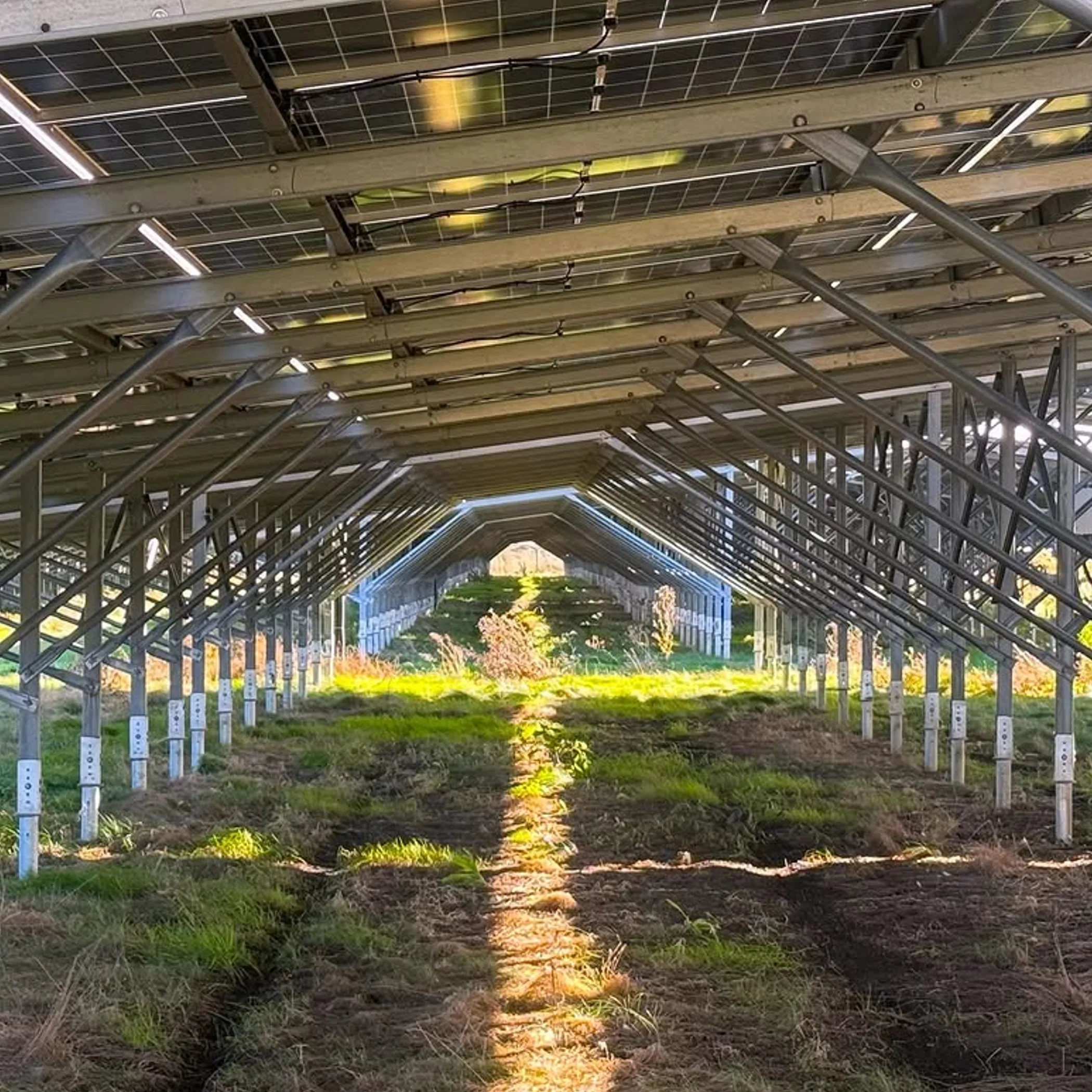a solar installation